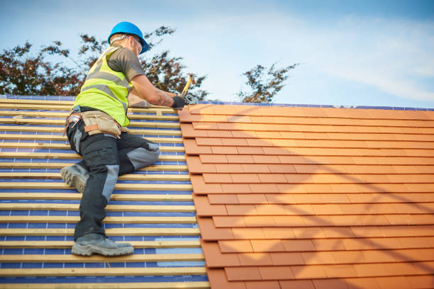 Best Rubber Roofing (EPDM, TPO)  in Dixon, MO